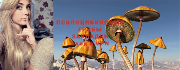 бошки Арсеньев