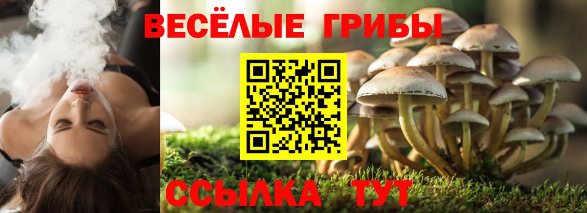 Галлюциногенные грибы Psilocybe  закладки  Вход с VPN  Белая Калитва  Псилоцибиновые грибы прущие грибы 